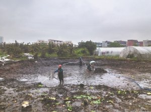 安国河道鱼塘清淤